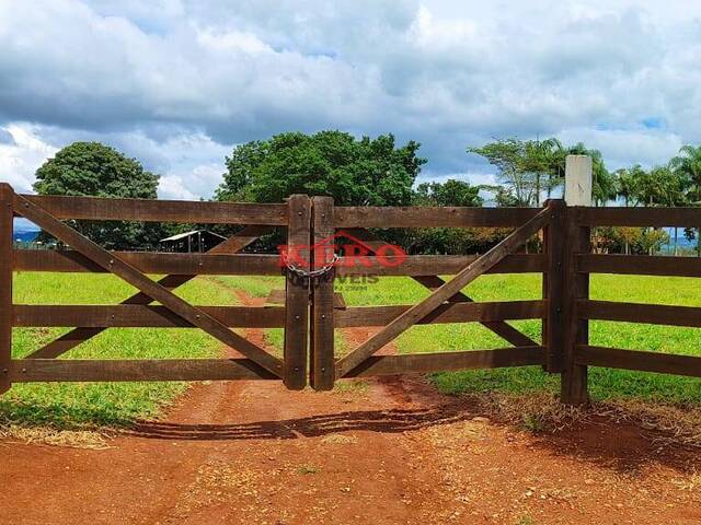 #55 - Sítio para Venda em Itapetininga - SP - 3