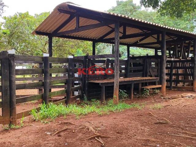 #55 - Sítio para Venda em Itapetininga - SP - 2