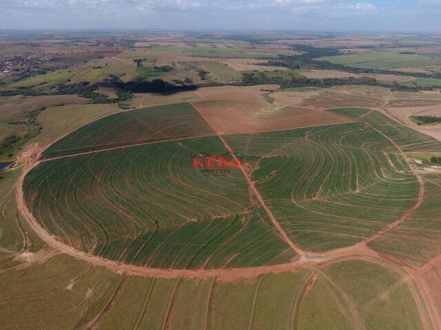 #61 - Fazenda para Venda em Penápolis - SP - 3